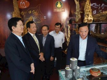 NHANG CÂY TRẦM HƯƠNG C1 (100gr)