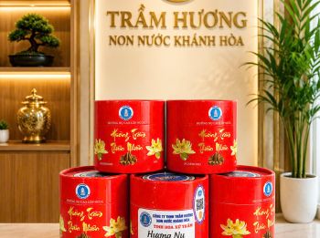 HƯƠNG NỤ CC4 CAO CẤP - Tinh Hoa Xứ Trầm